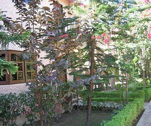 Corbett Treff Hotel Dhikuli Kültér fotó